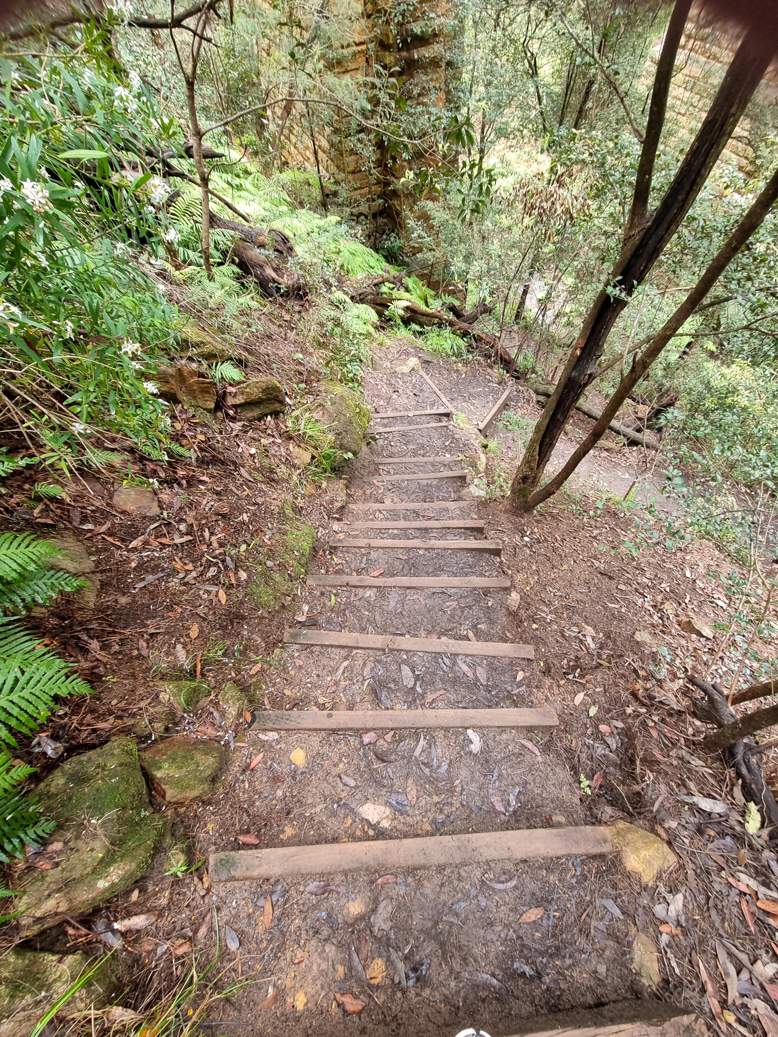 Trail by the side of the Knapsack Bridge