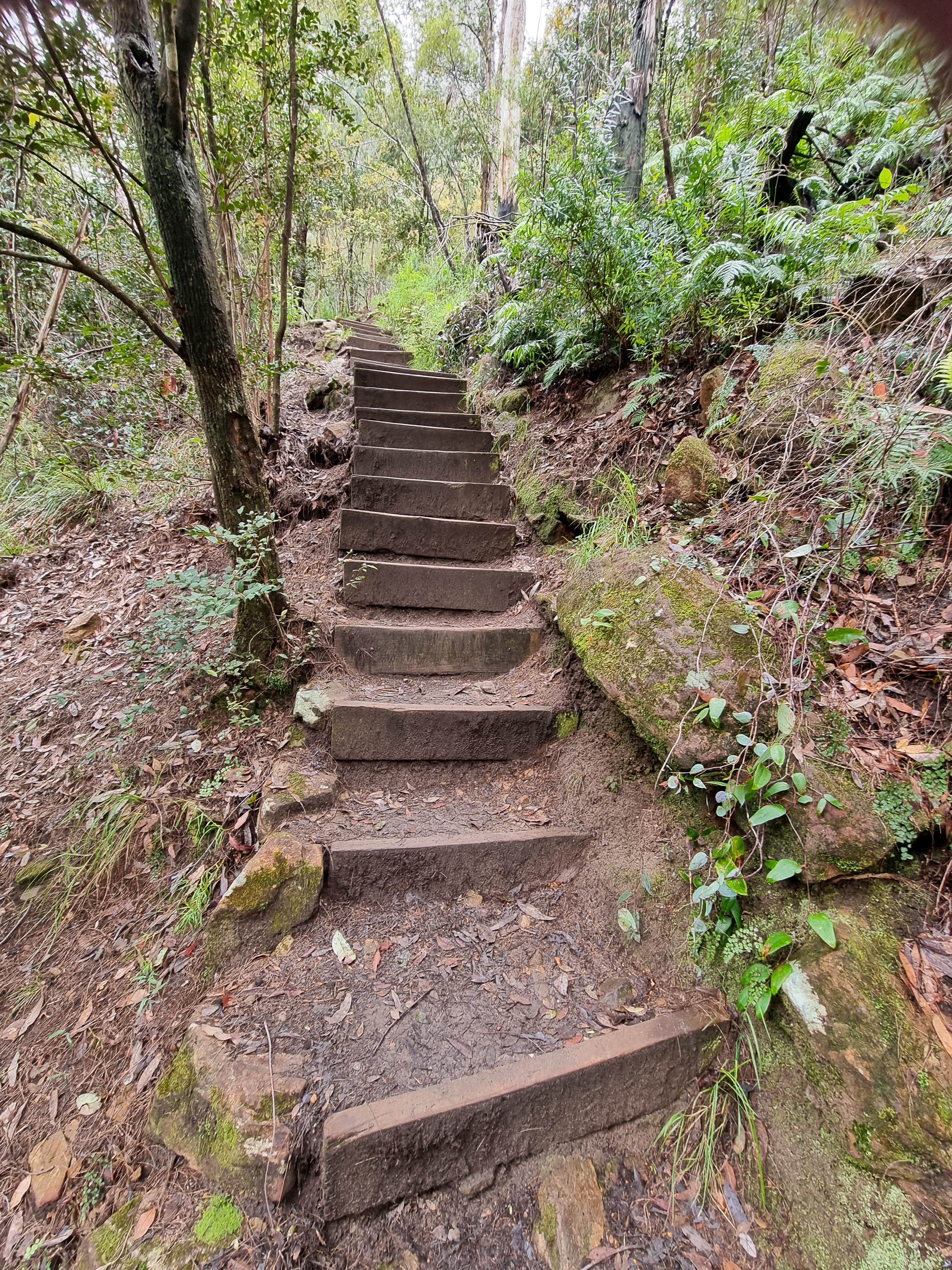 Track by the side of the Knapsack Bridge