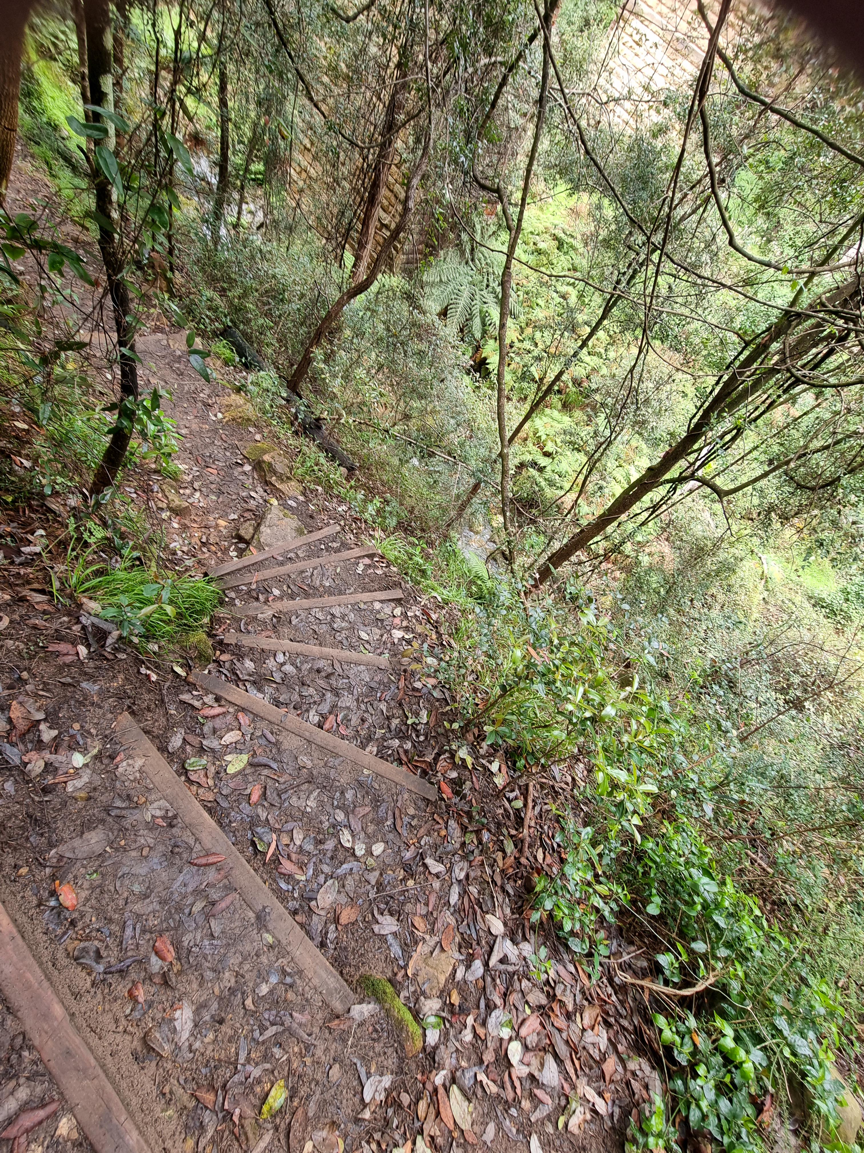 Trail by the side of the Knapsack Bridge
