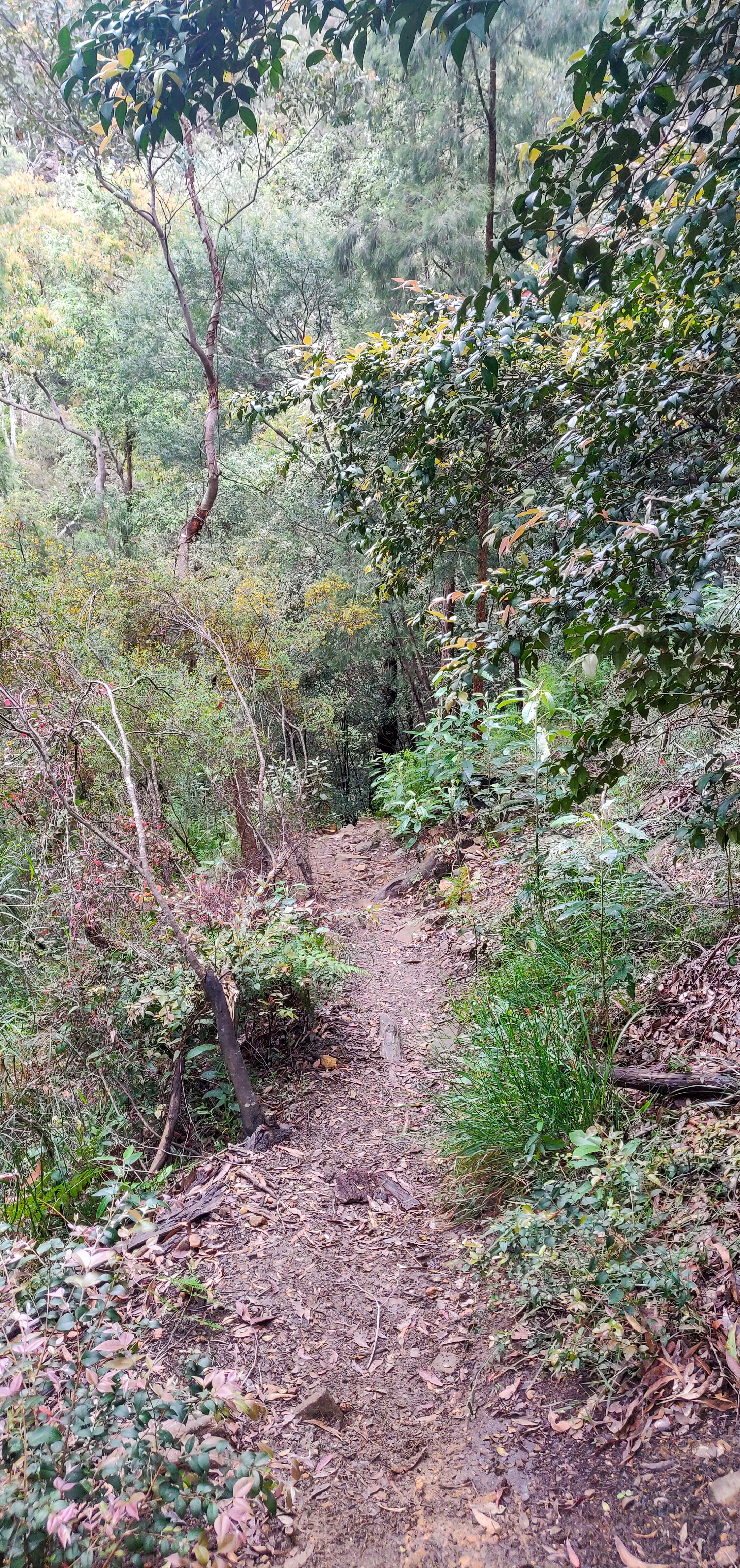 Track by the side of the Knapsack Bridge