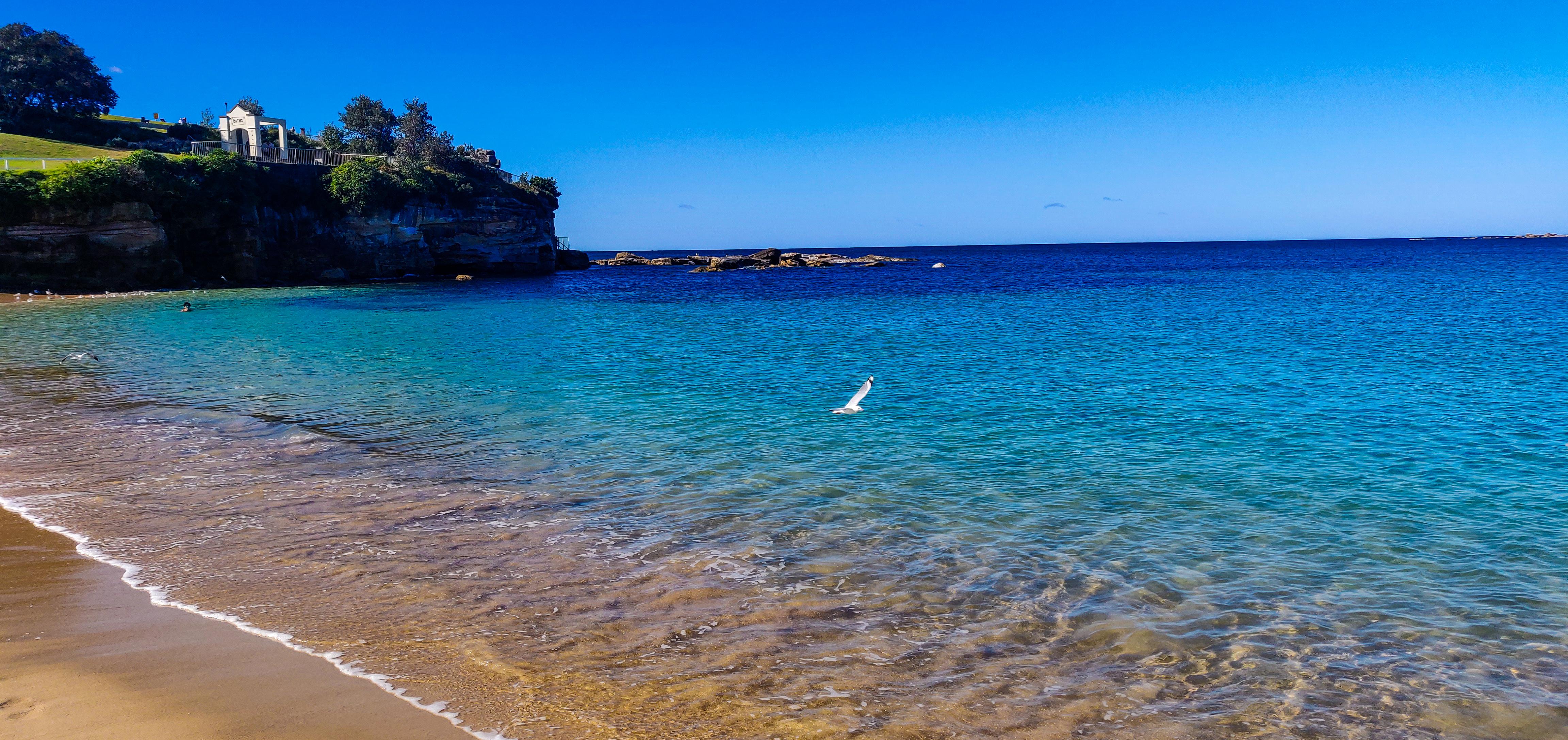 Coogee Beach