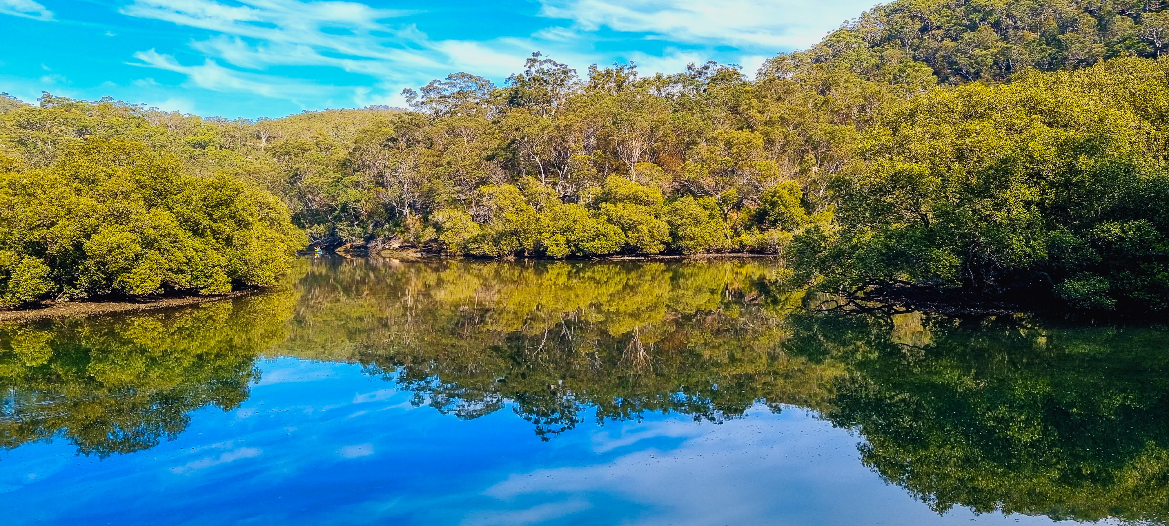 Bobbin Head Mangrove Boardwalk Views