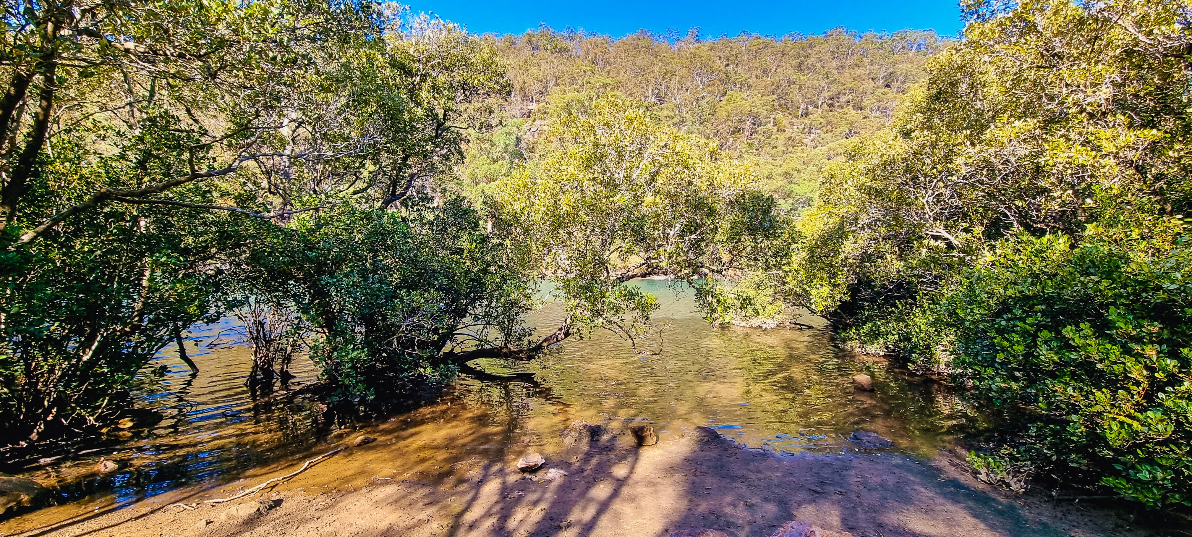 Bobbin Head Picnic Table View