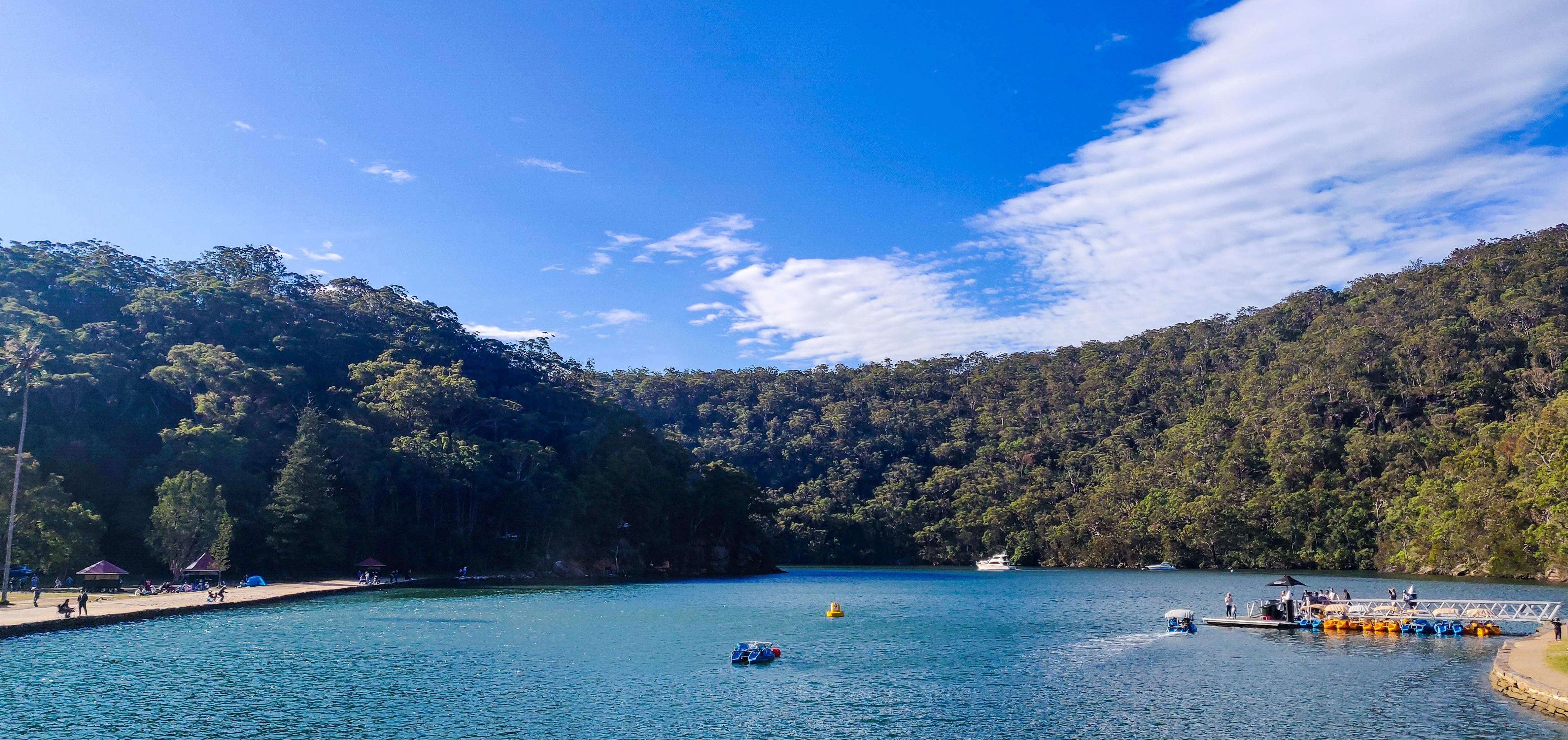Bobbin Head Paddle Boat Hire