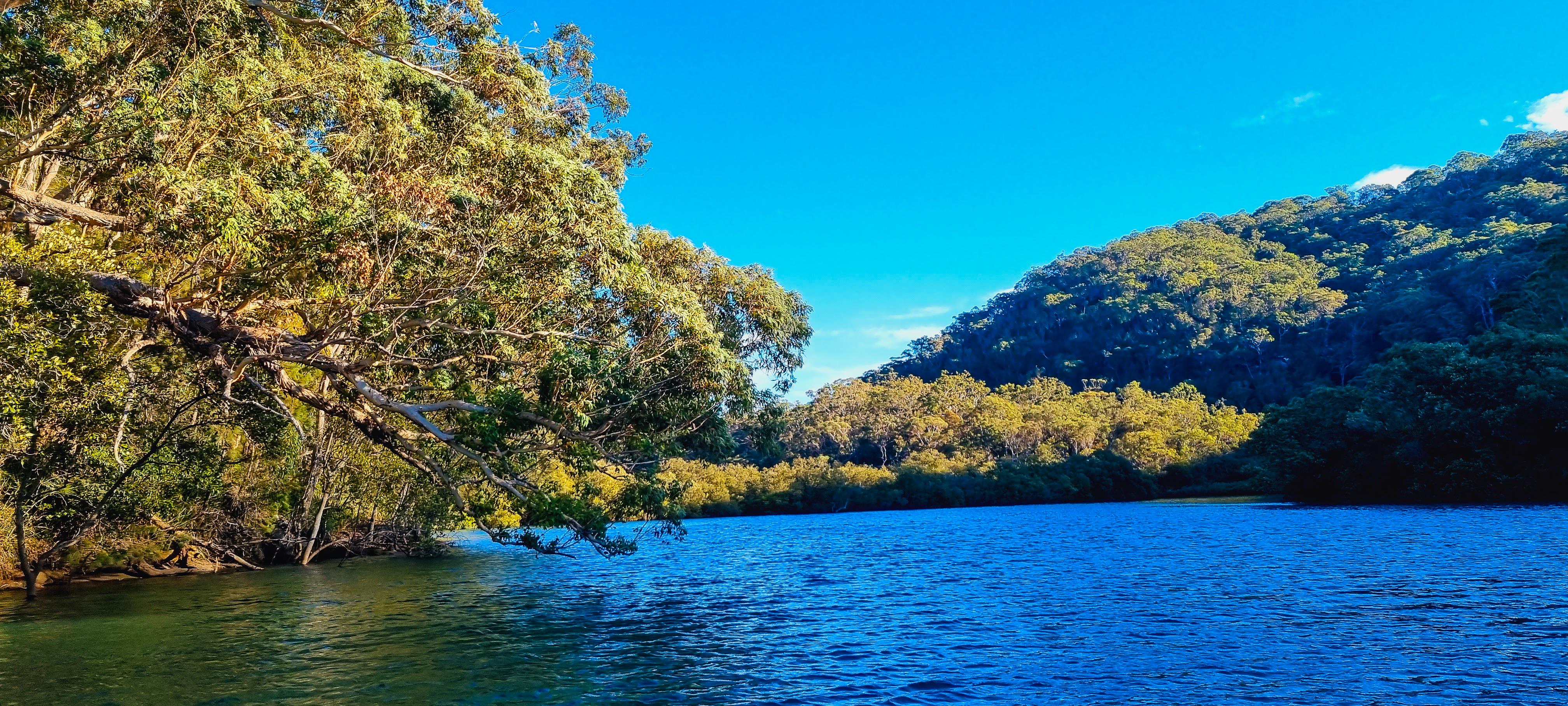 Bobbin Head Paddle Boating Views