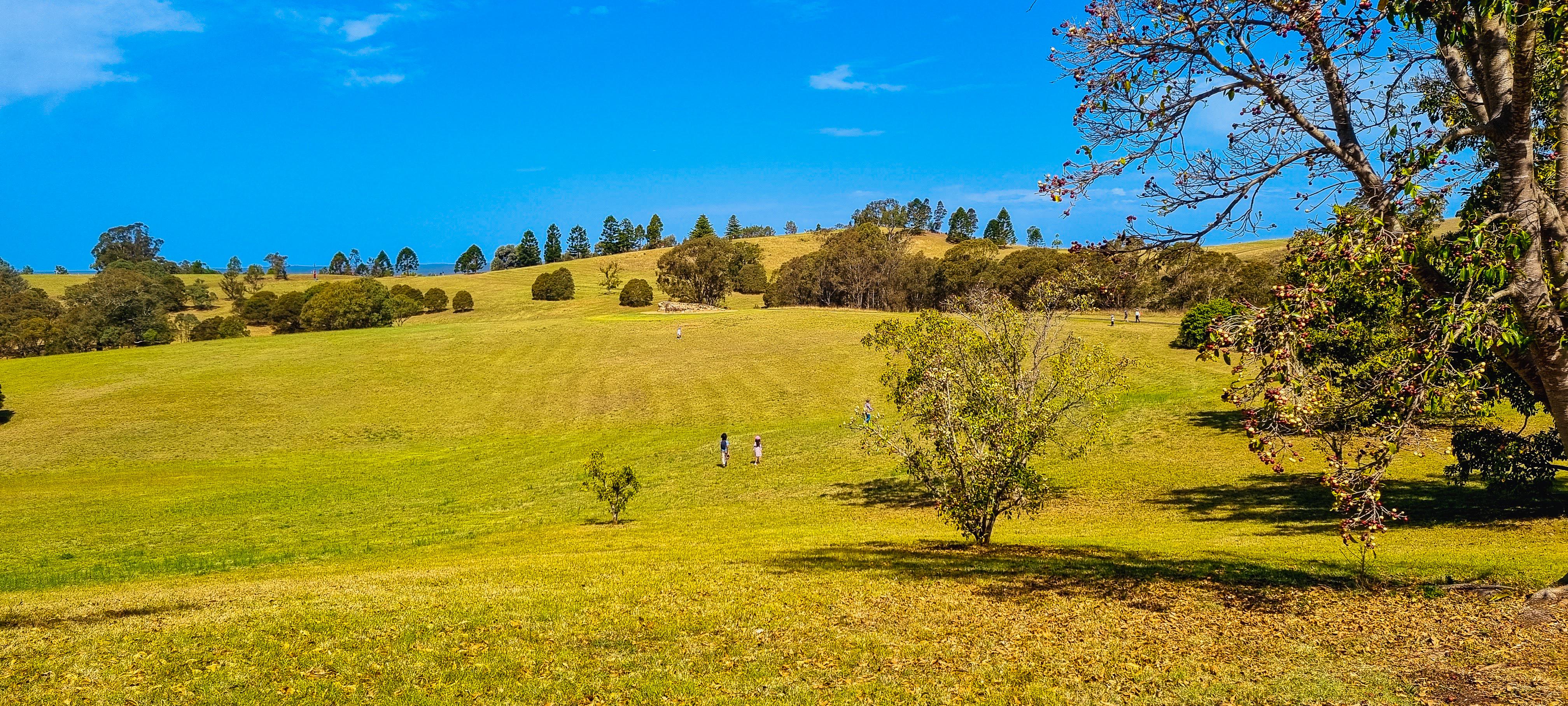 Fig Arboretum