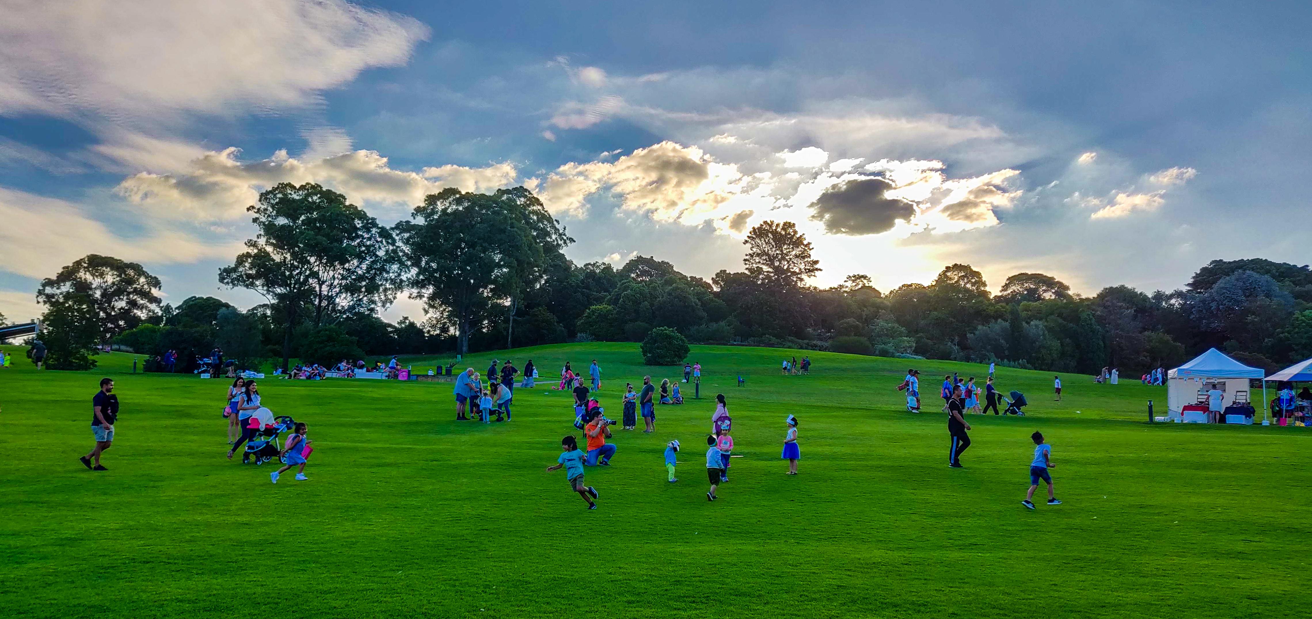 Lakeside Lawn at Mount Annan Botanic Gardens
