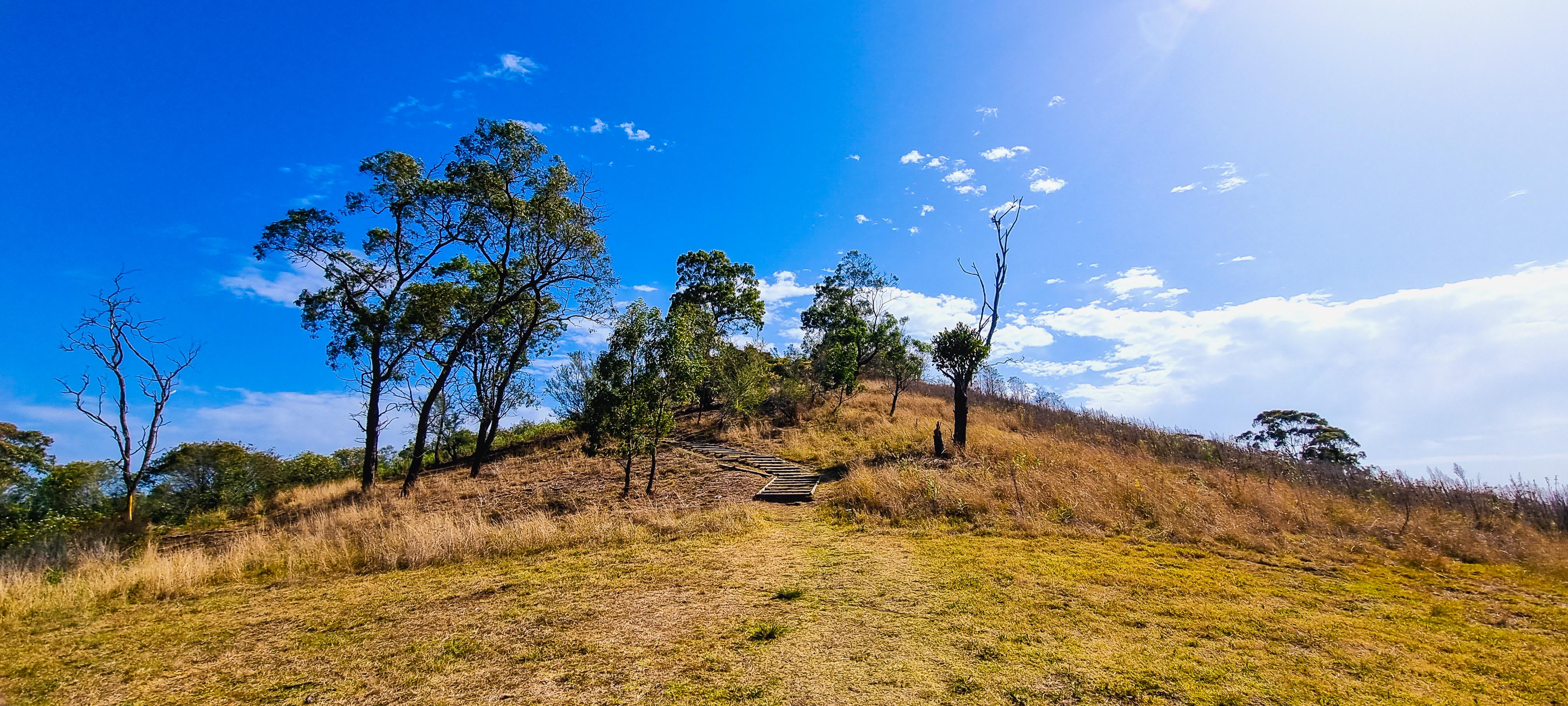Walking Trail to Mount Annan Summit