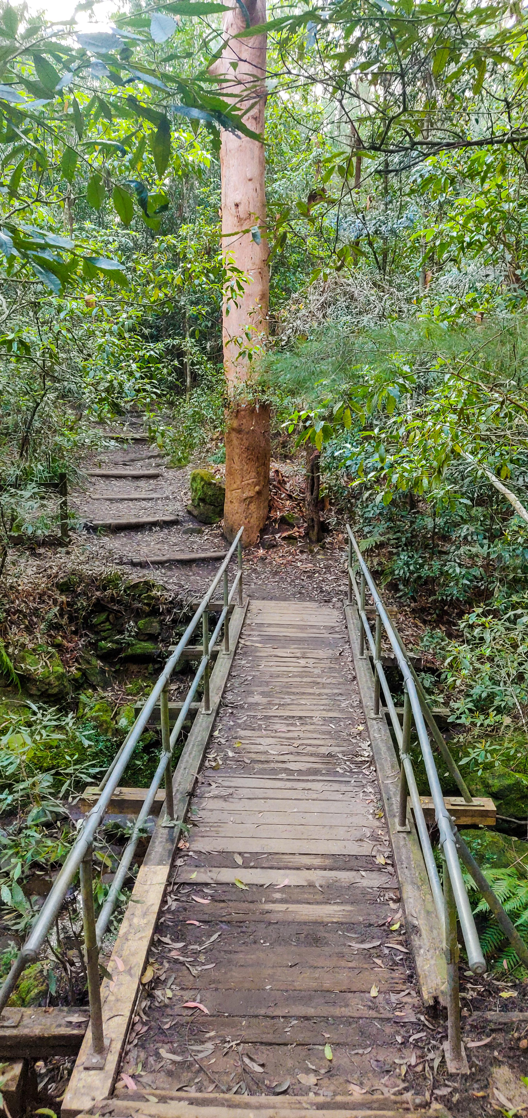 Bridge to cross the Excelsior Creek