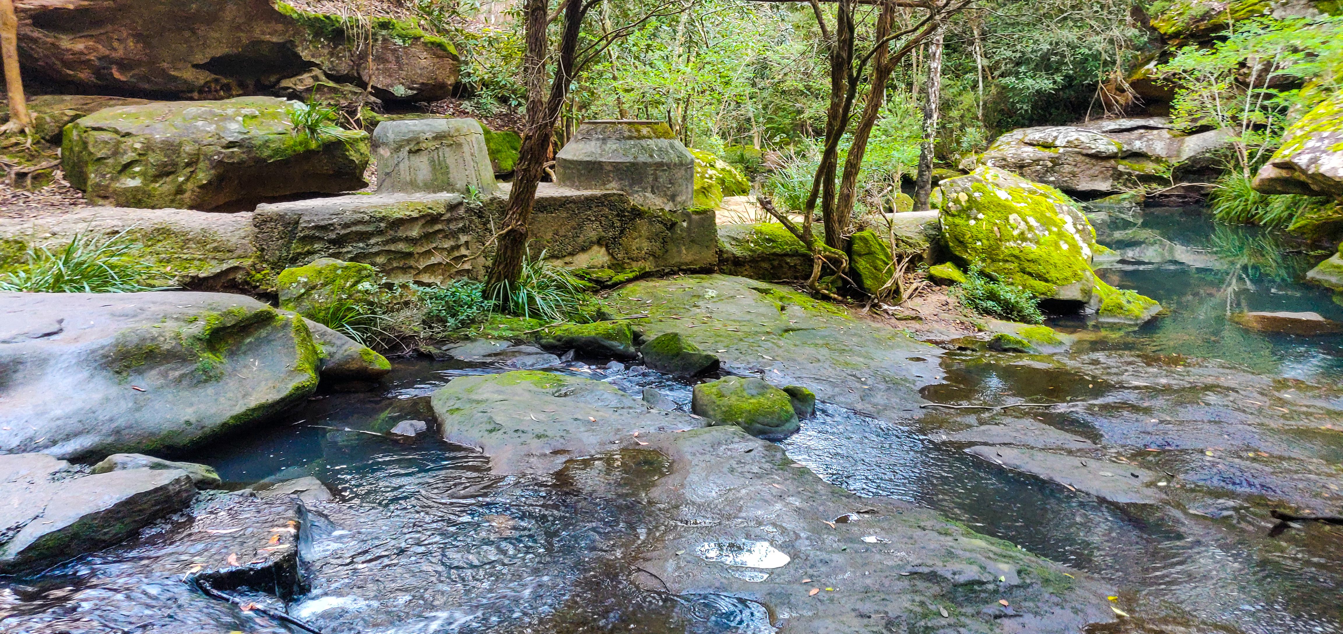 Excelsior Creek on the Platypus Track