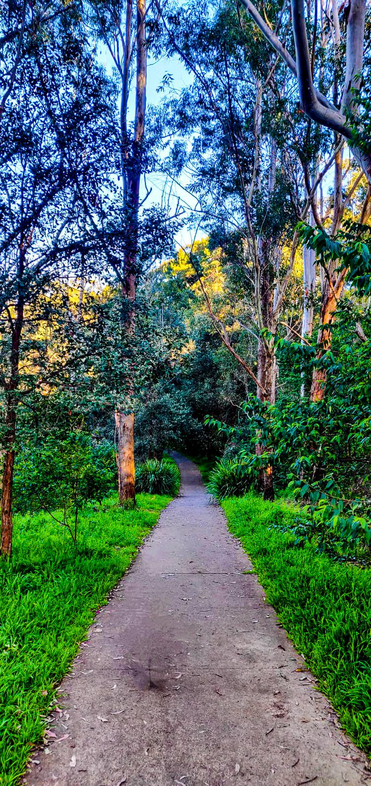 Initial Concrete Path on the Platypus Track