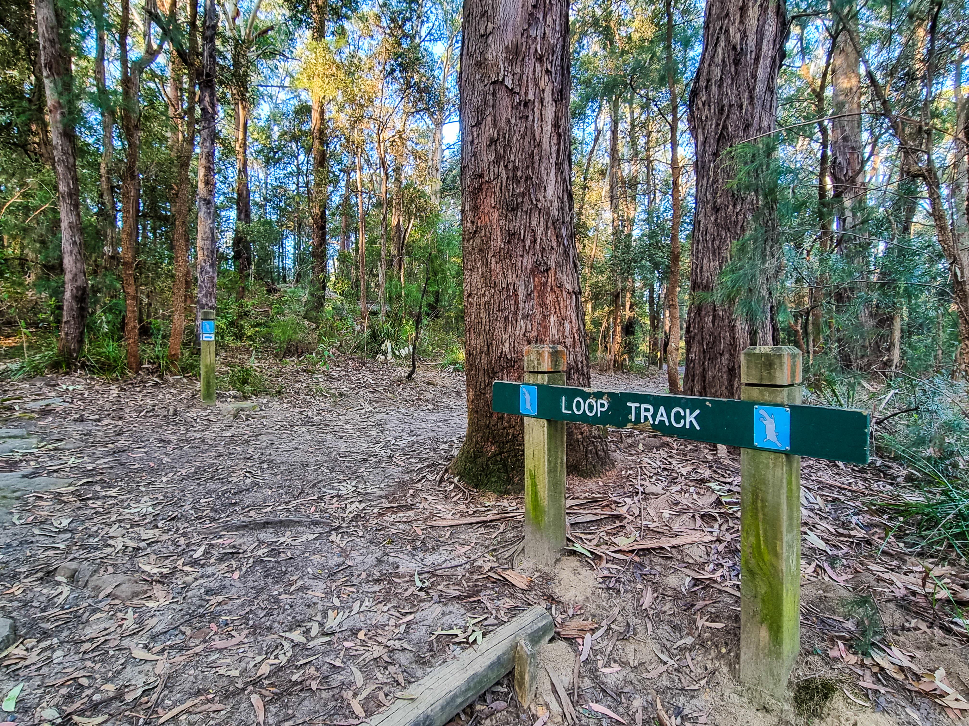 Loop Track Signpost on the Platypus Track