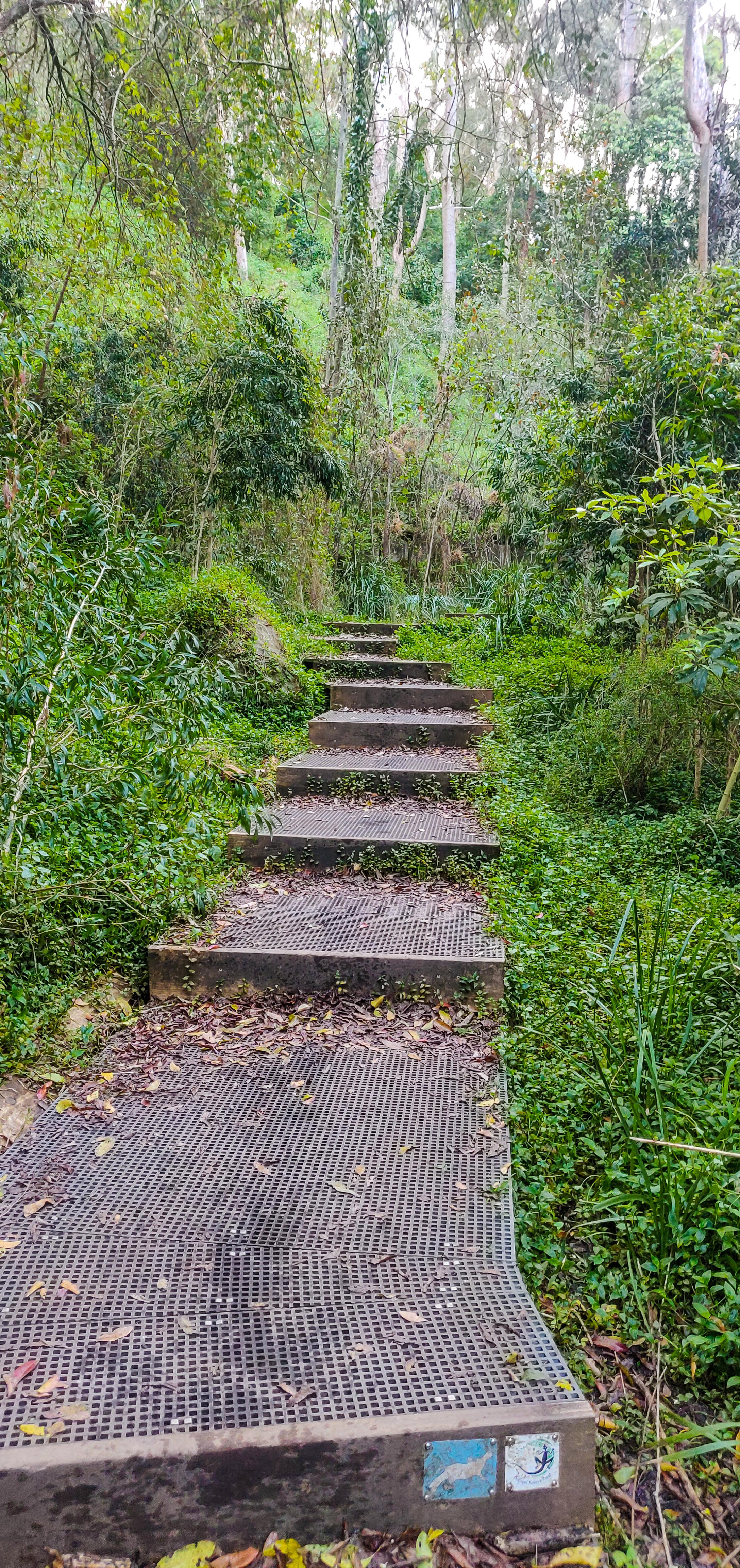 Platypus Track Boardwalk