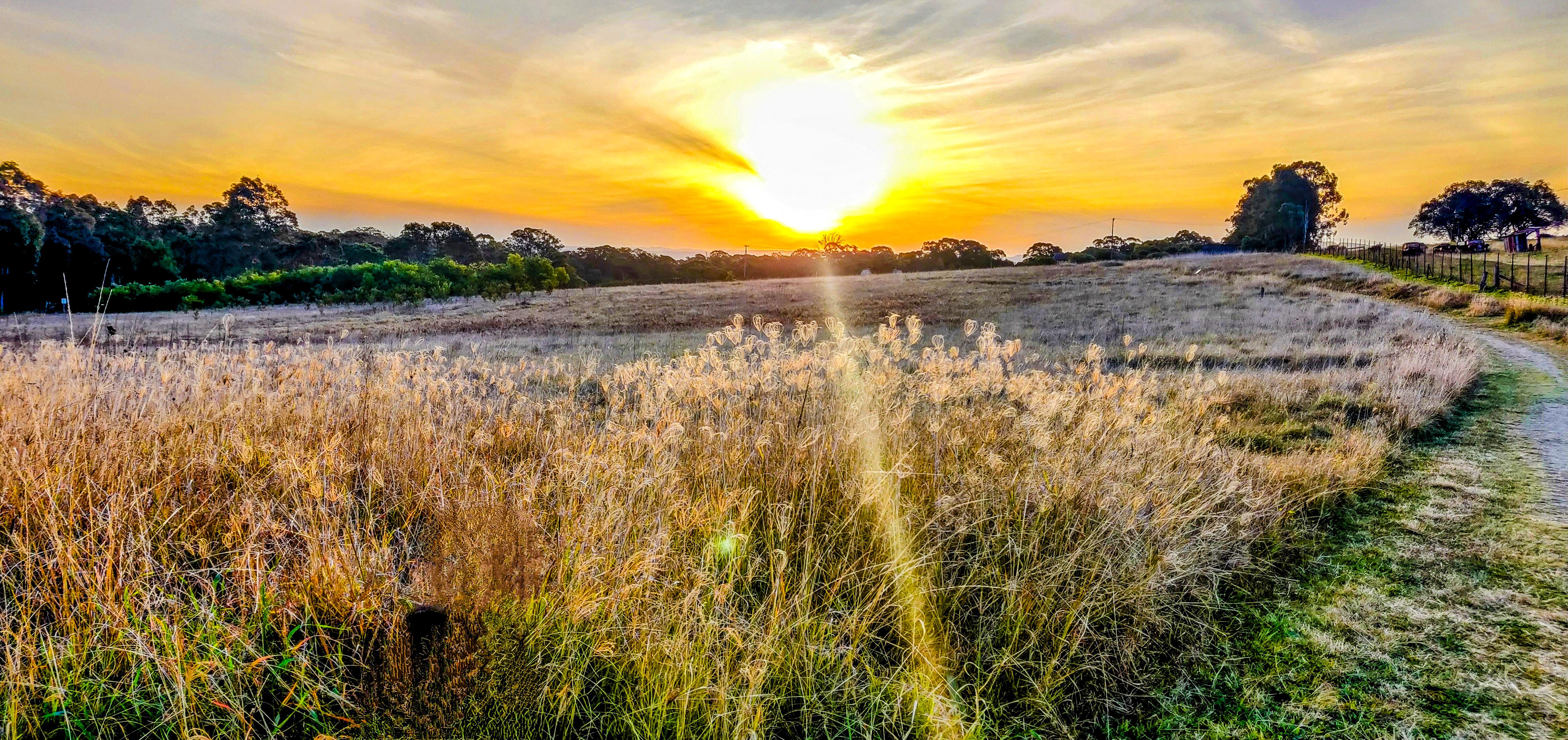 Rouse Hill Estate Walk - Sunset