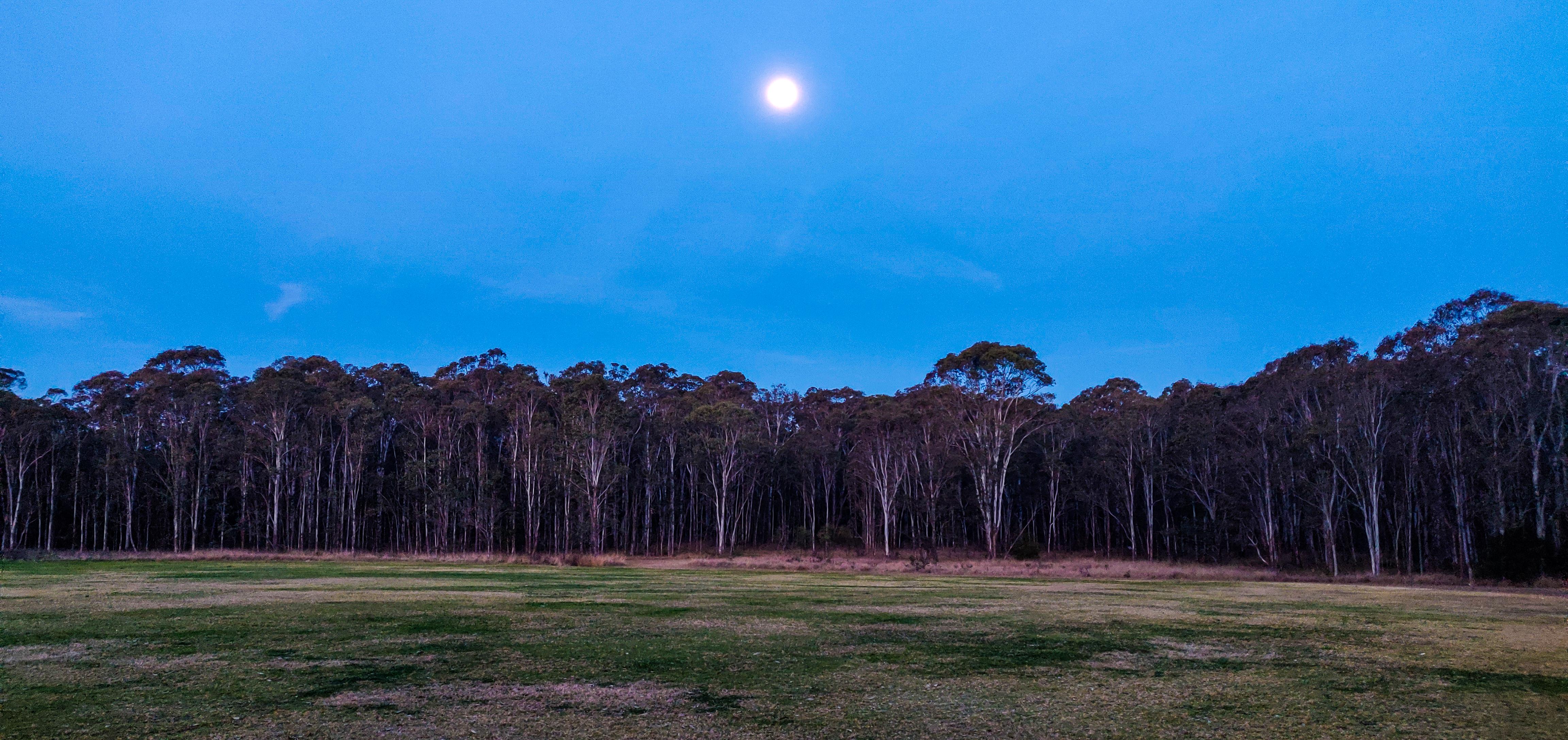 Rouse Hill Regional Park