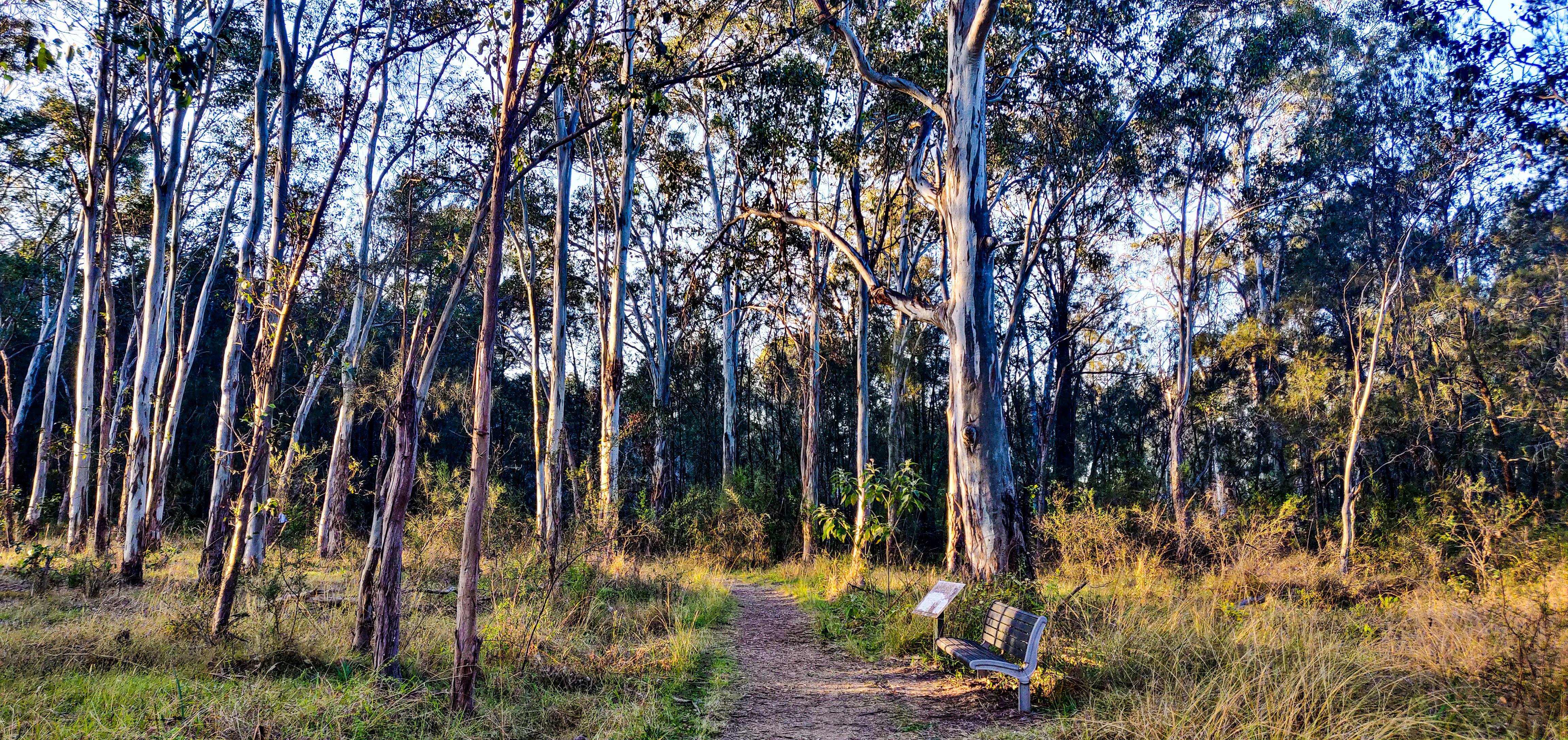 Rouse Hill Regional Park - Bench and Signposts on Second Ponds Creek and Rouse Hill Estate Walk