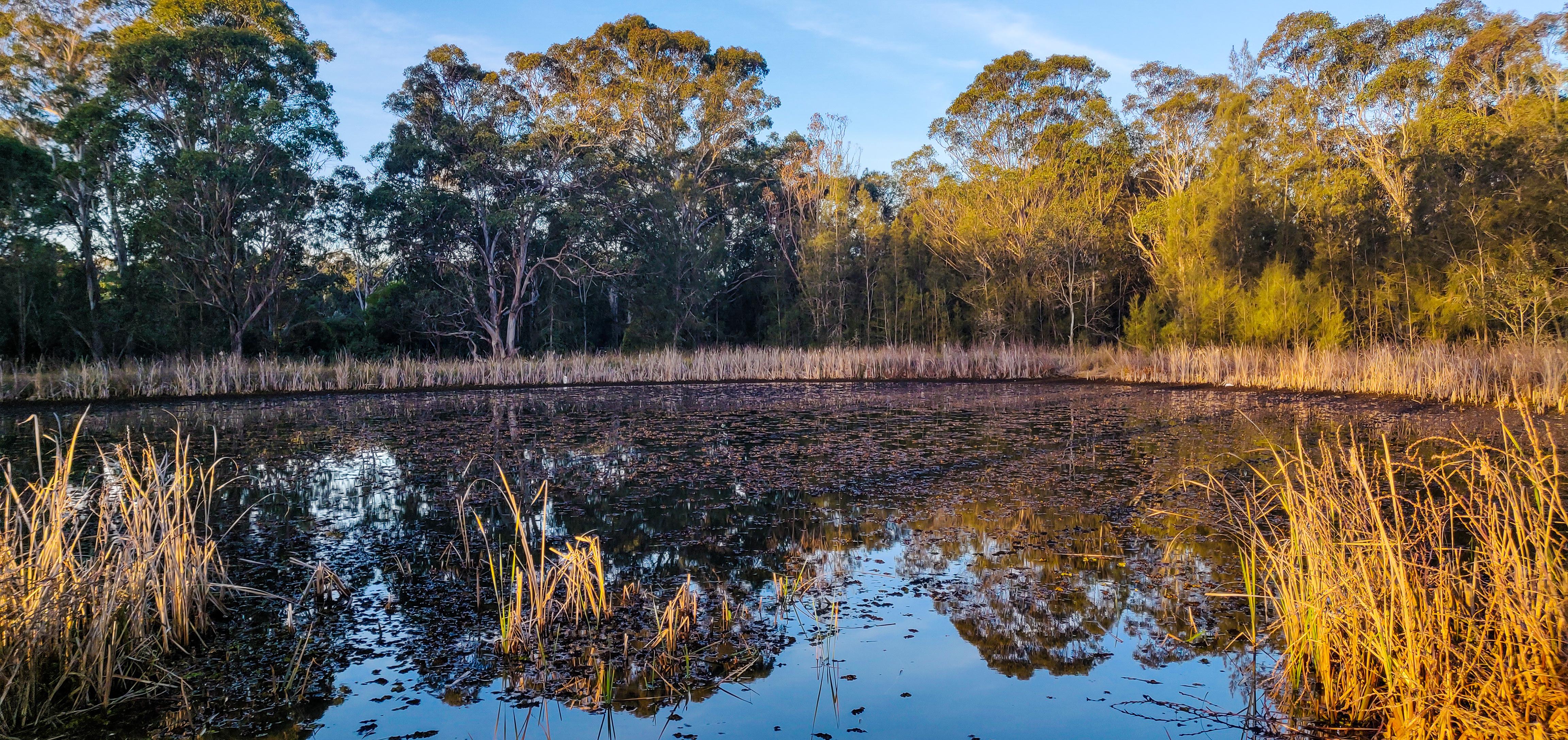 Second Ponds Creek Walk