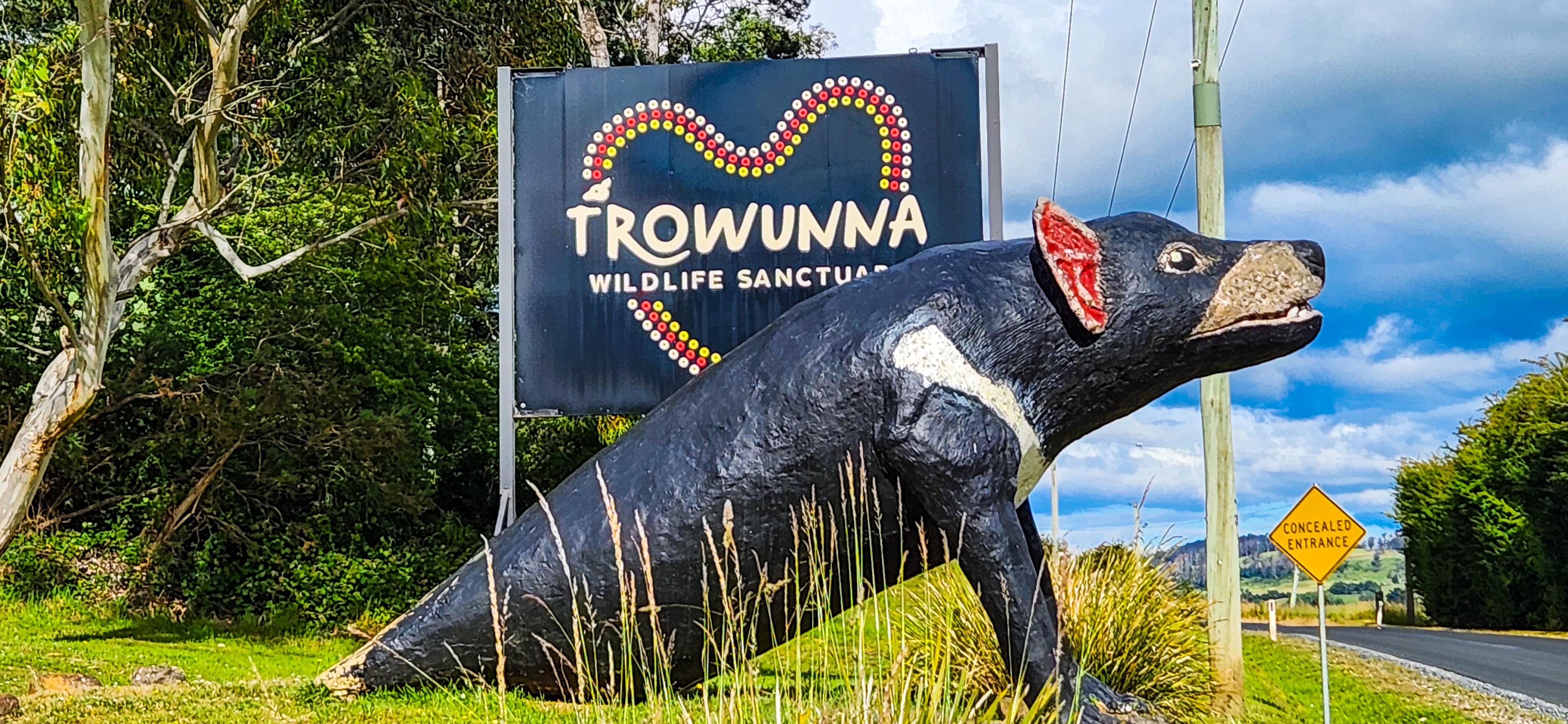 The Big Tasmanian Devil at Trowunna Wildlife Sanctuary