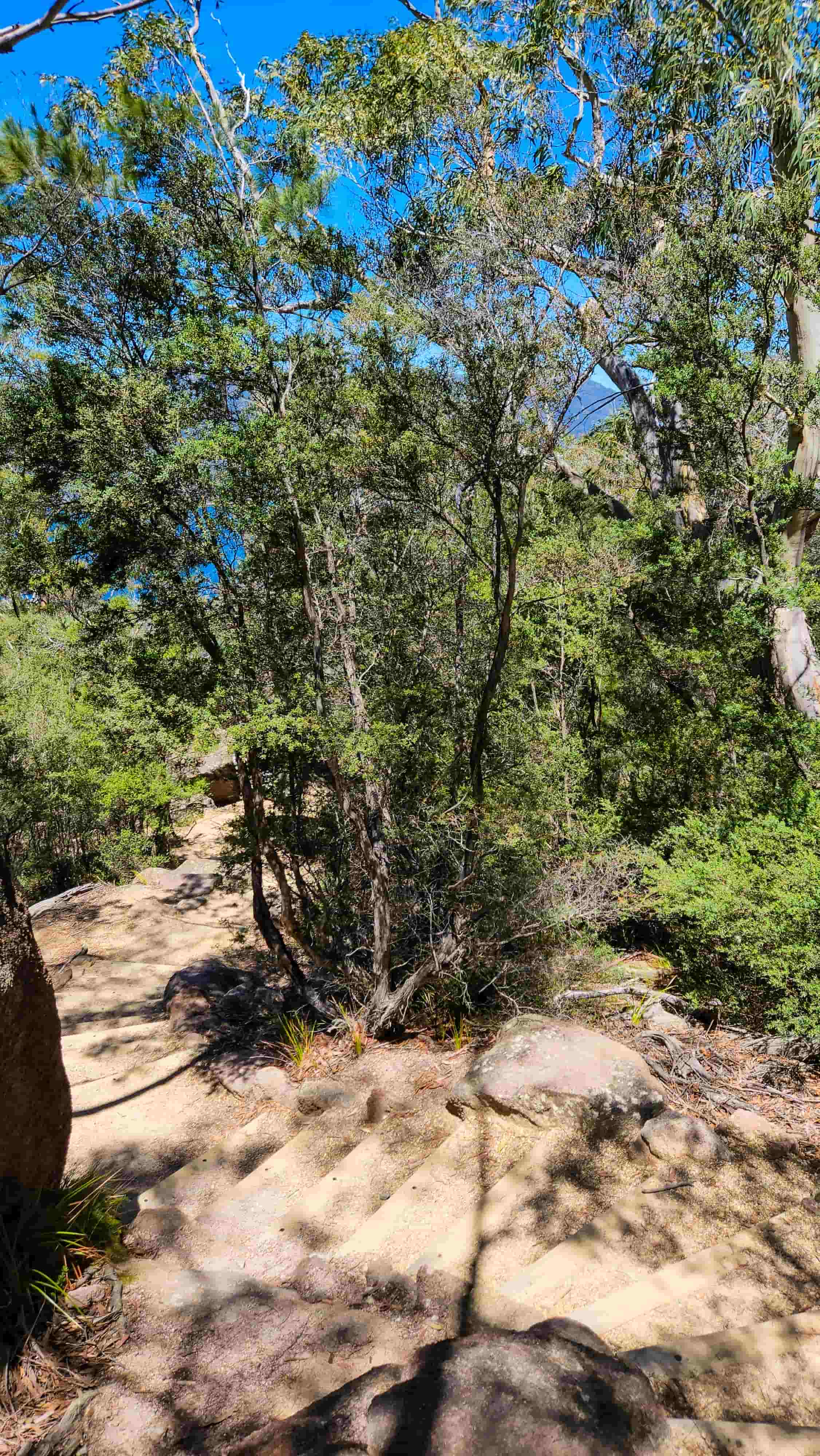 Stairs to Wineglass Bay