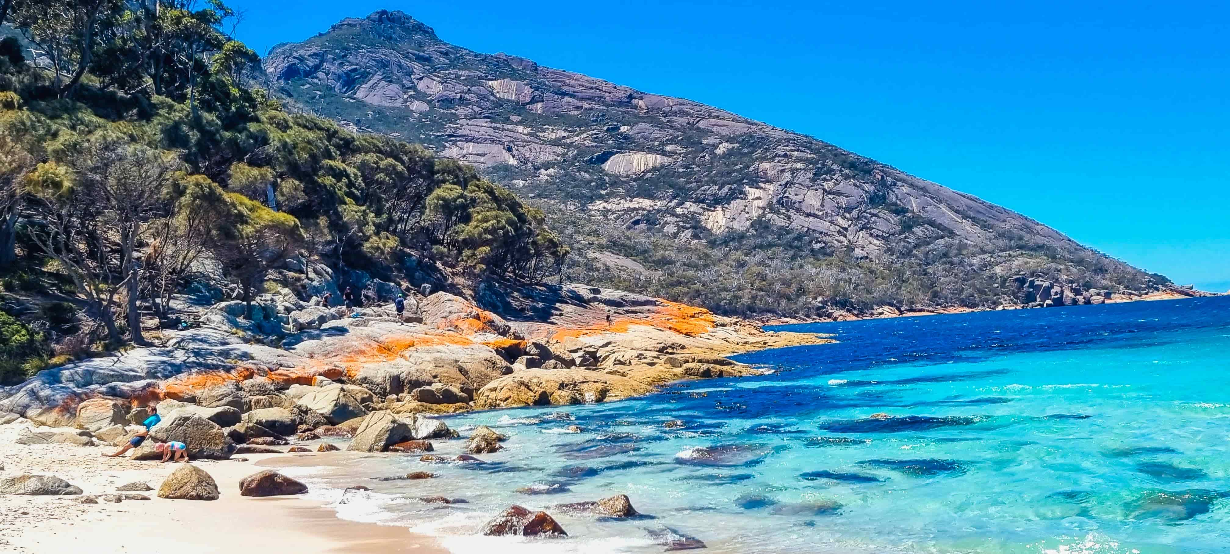 Lichen encrusting the granite boulders at Wineglass Bay