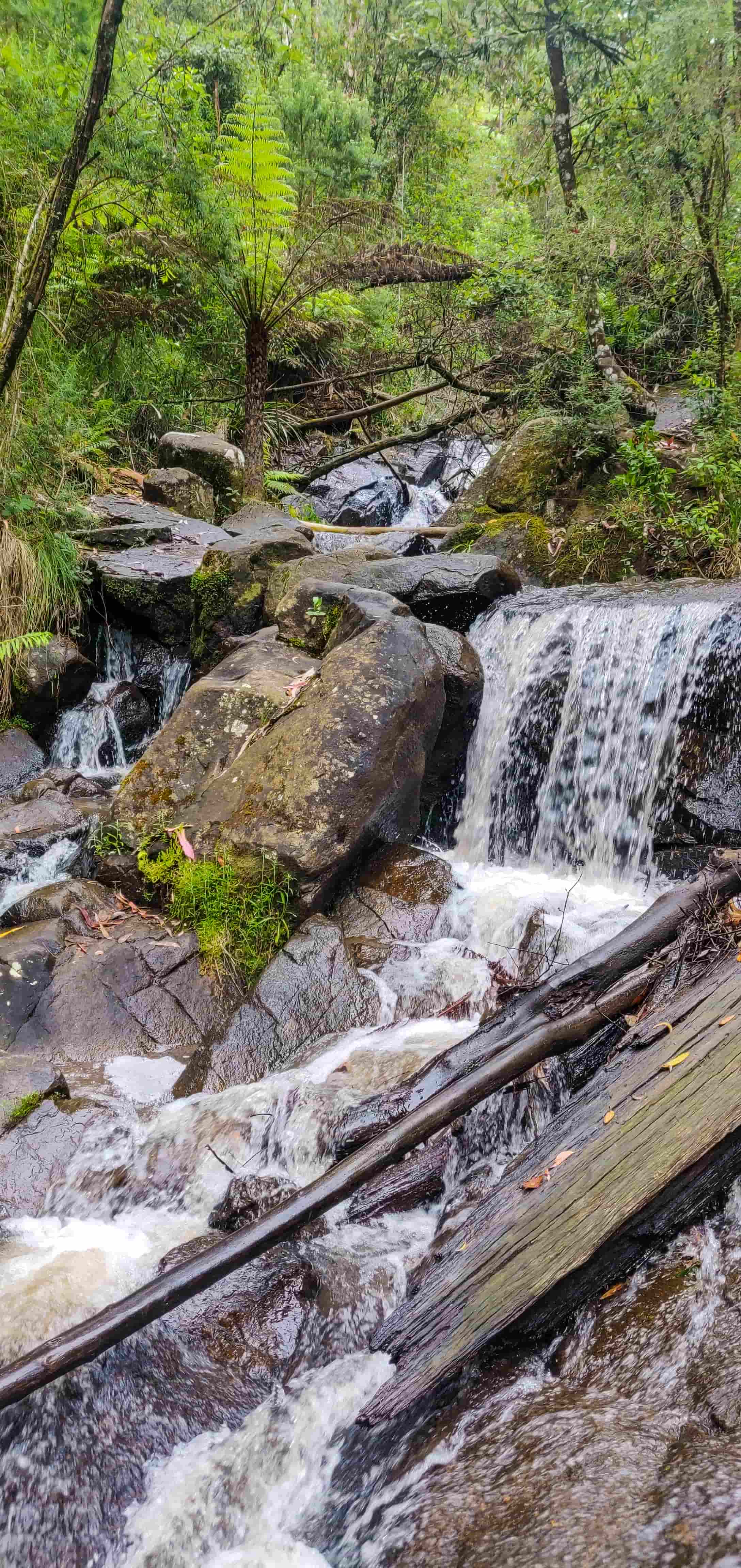 Olinda Falls Lower Falls