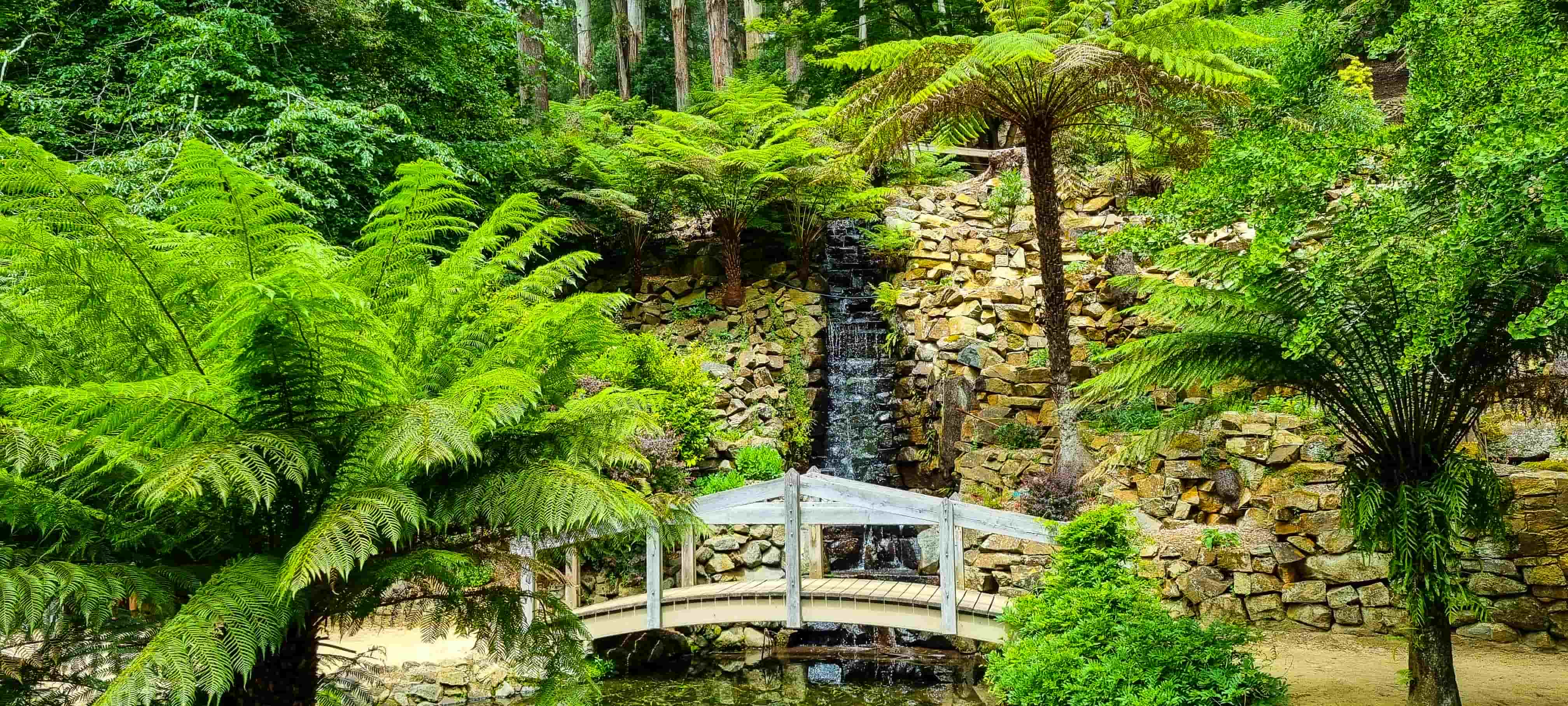 4.3. Alfred Nicholas Memorial Gardens Waterfall