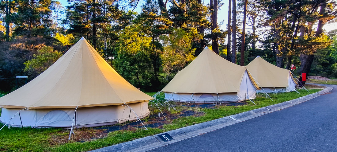 Camping in Katoomba Falls Tourist Park