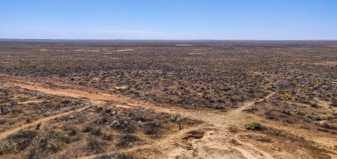 Mungo Lookout