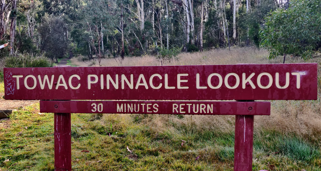 Pinnacle Lookout