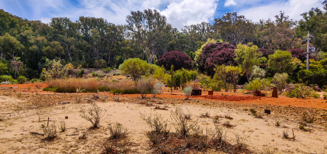 Australian National Botanic Gardens - Rock Garden