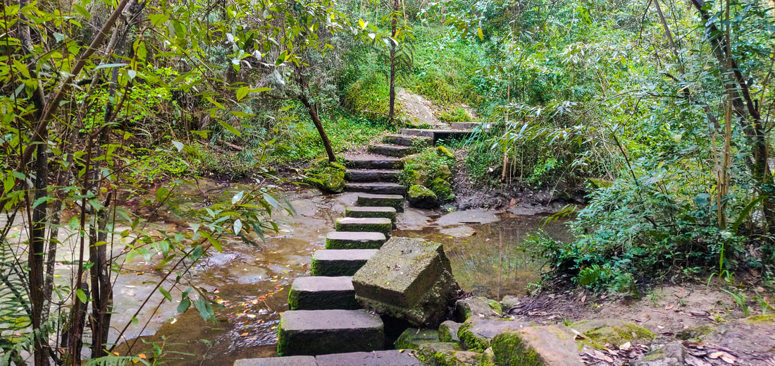 Concrete stepping stones along Platypus Track