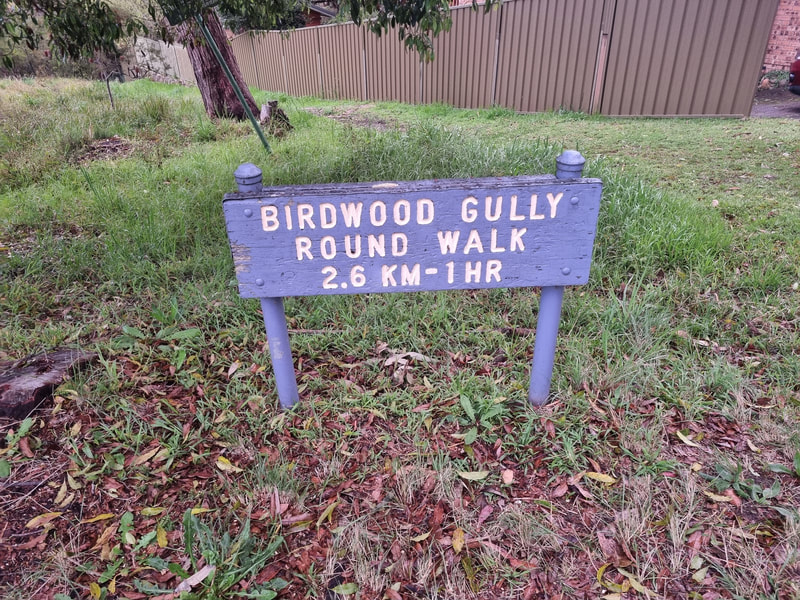 Birdwood Gully