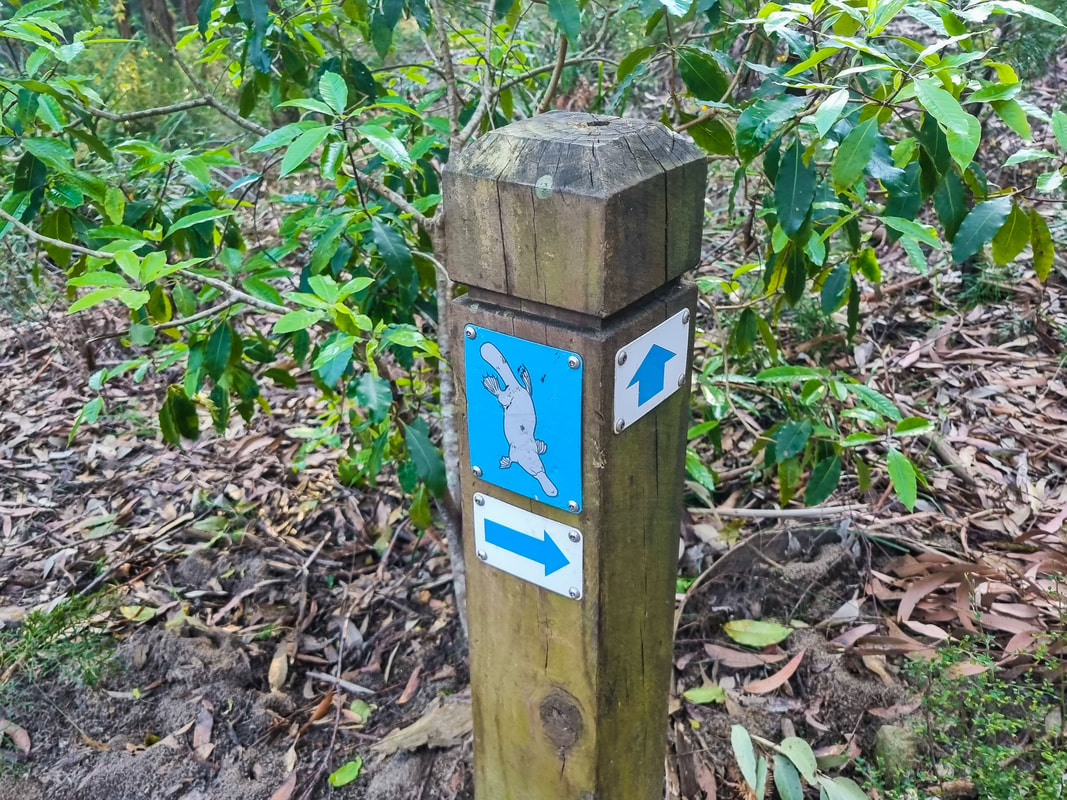 Platypus Track Signpost