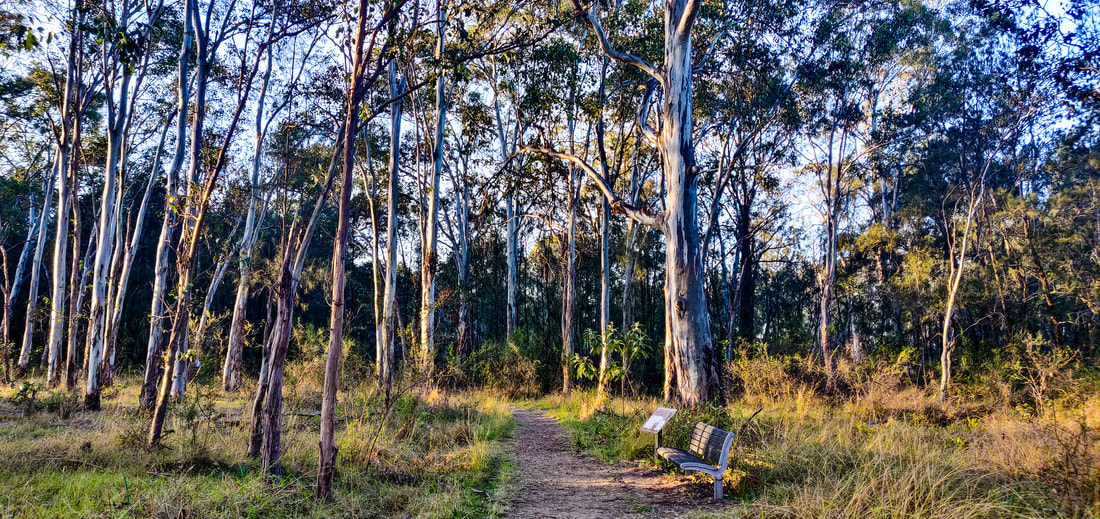 Rouse Hill Regional Park - Bench and Signposts on Second Ponds Creek and Rouse Hill Estate Walk