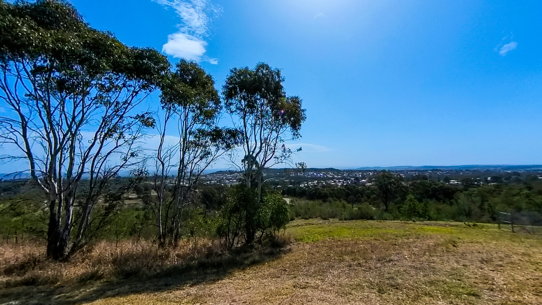 View from the top of Mount Annan Botanic Garden
