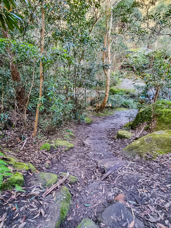 Walking Trail leading to Excelsior Creek on the Platypus Track